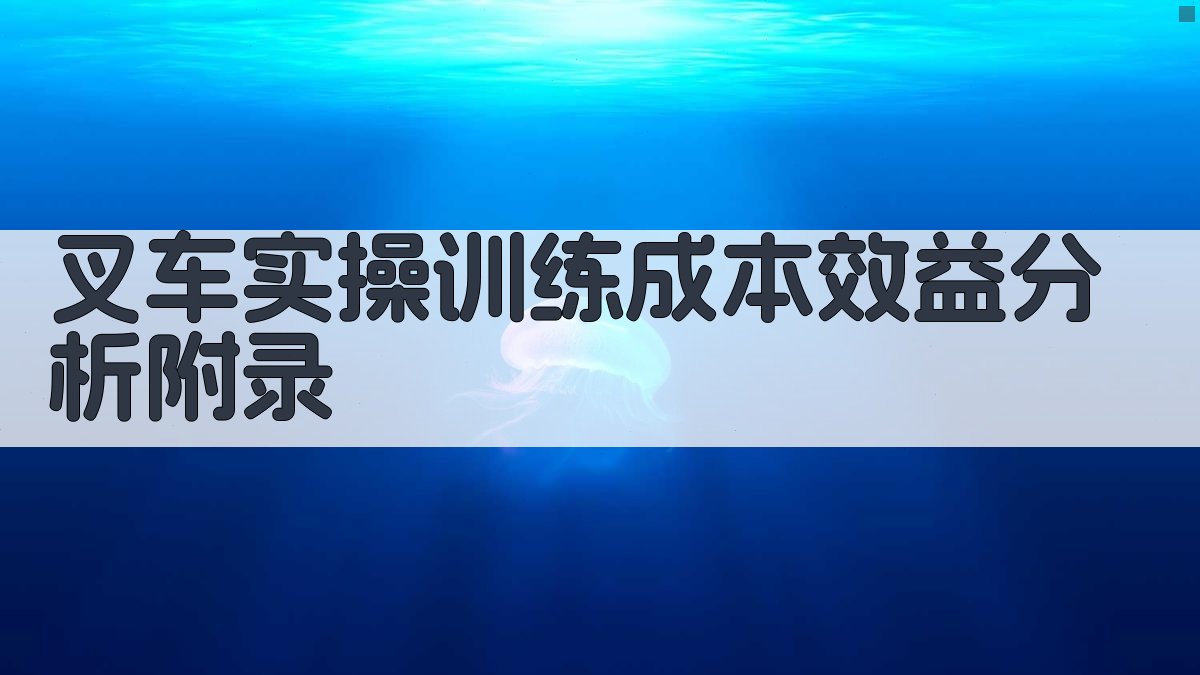 叉车实操训练成本效益分析 · 附录 图5