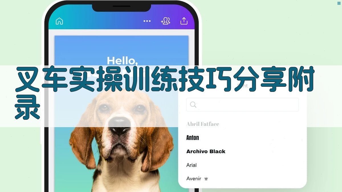 叉车实操训练技巧分享 · 附录 图5