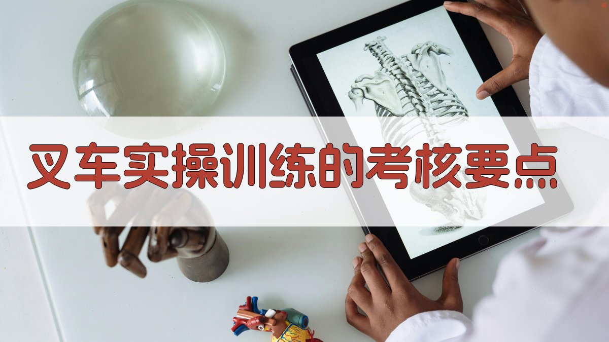 叉车实操训练的考核要点 图3