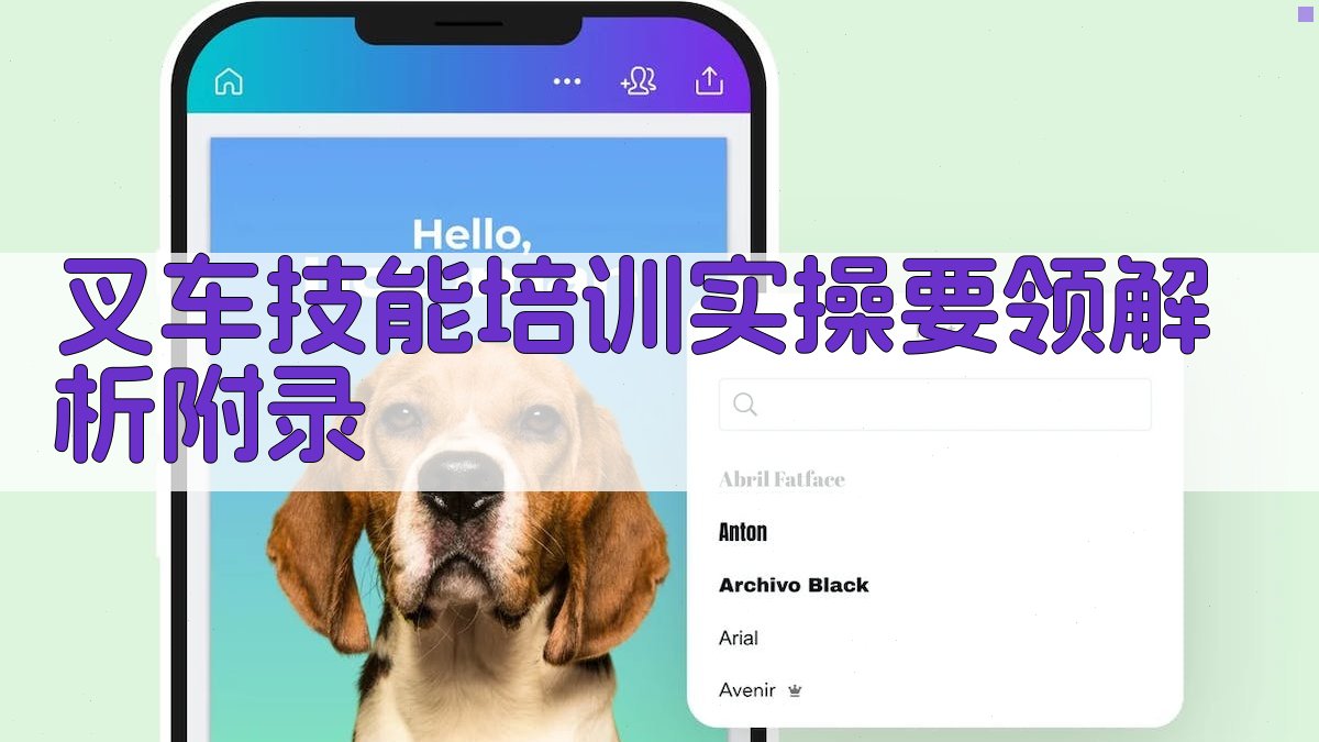 叉车技能培训实操要领解析 · 附录 图5