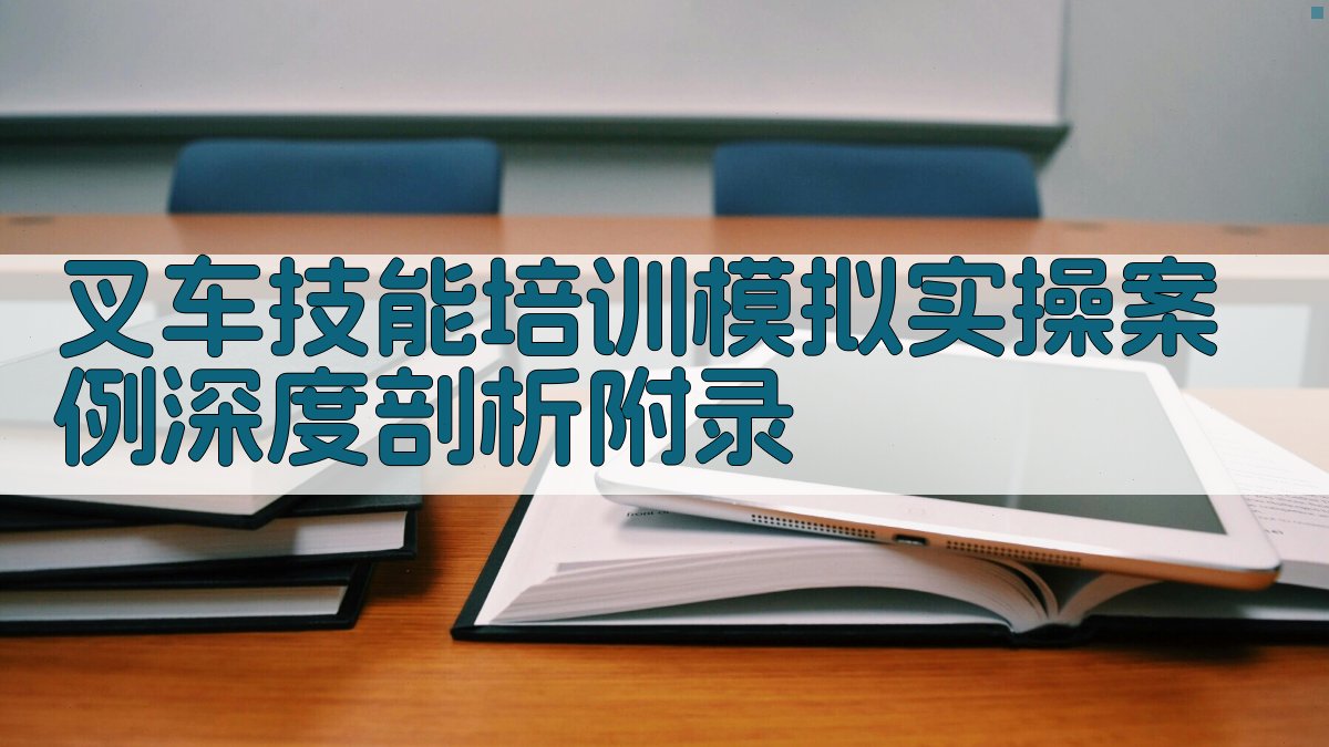叉车技能培训模拟实操案例深度剖析 · 附录 图4