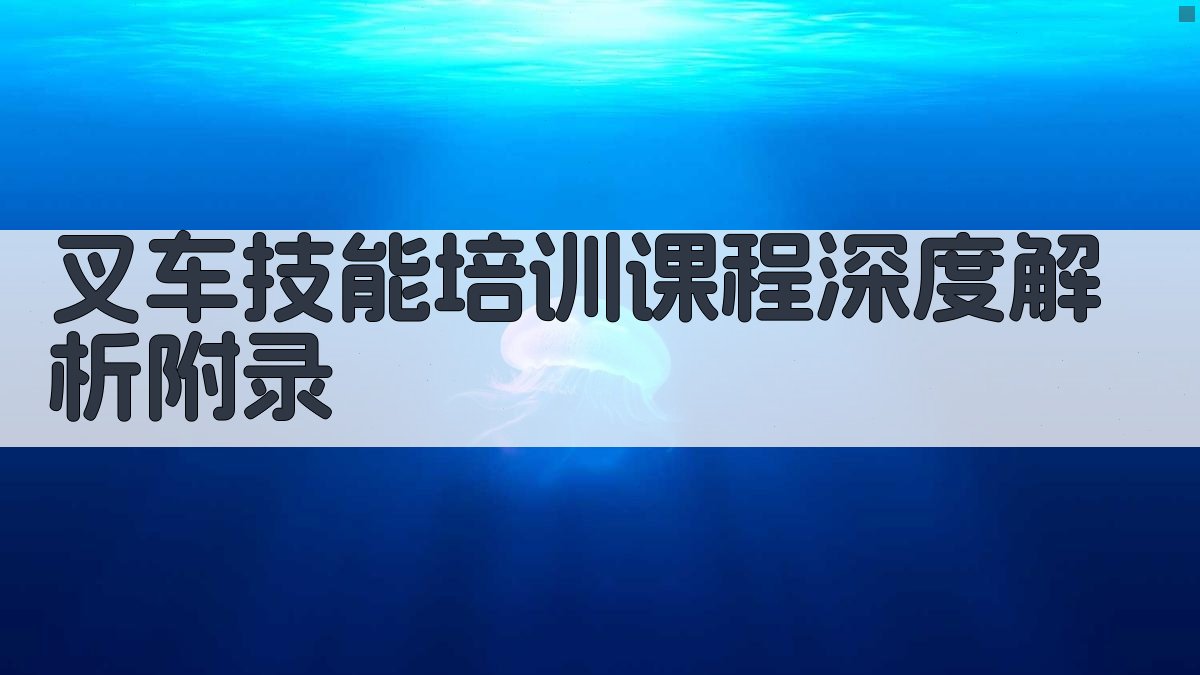 叉车技能培训课程深度解析 · 附录 图5