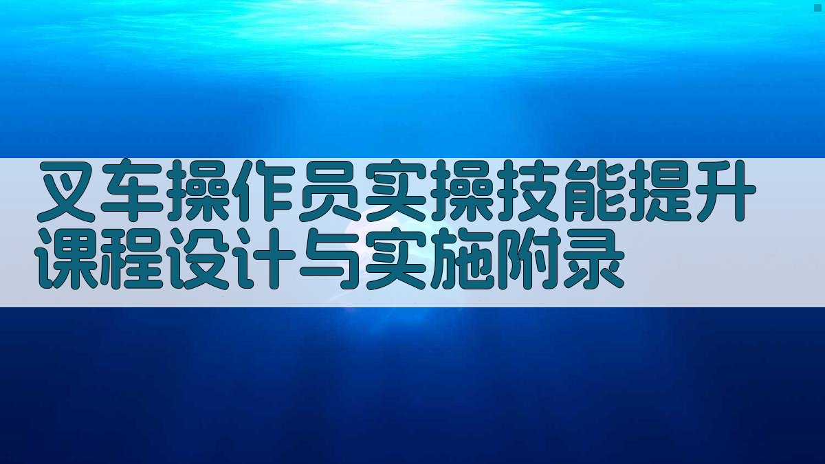 叉车操作员实操技能提升课程设计与实施 · 附录 图3