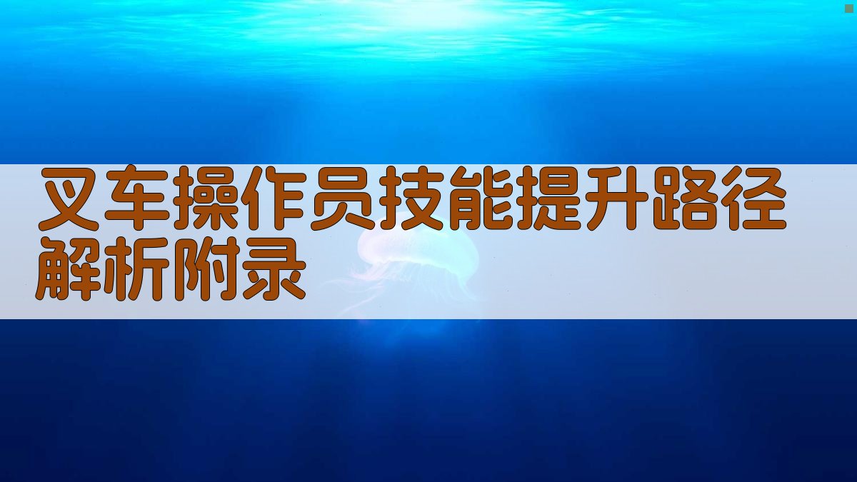 叉车操作员技能提升路径解析 · 附录 图5