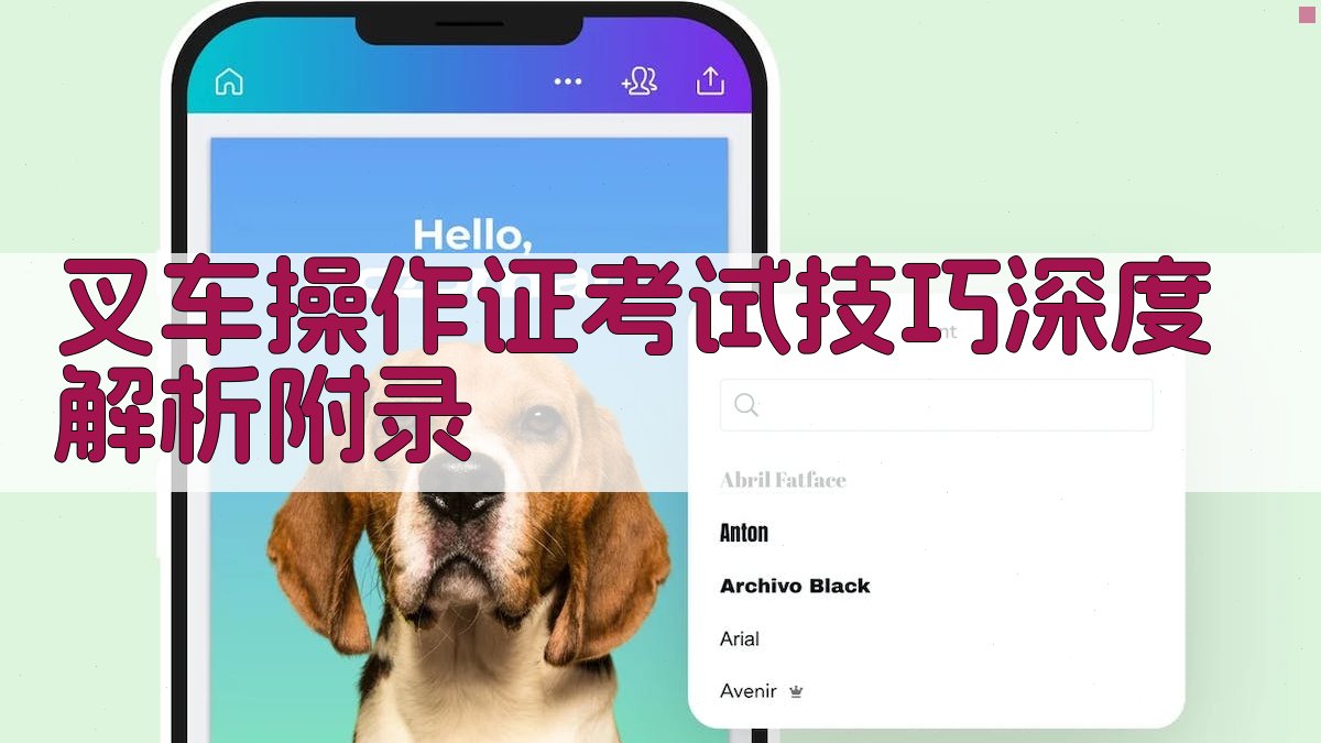 叉车操作证考试技巧深度解析