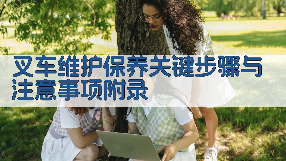 叉车维护保养关键步骤与注意事项 · 附录 图4