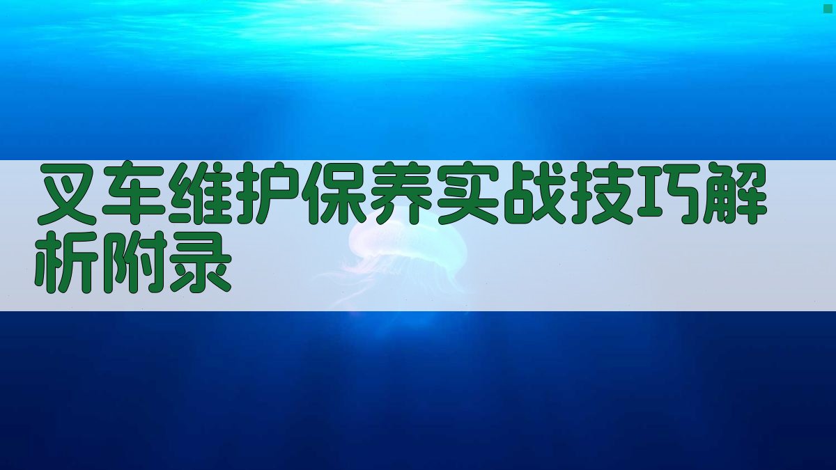 叉车维护保养实战技巧解析 · 附录 图4