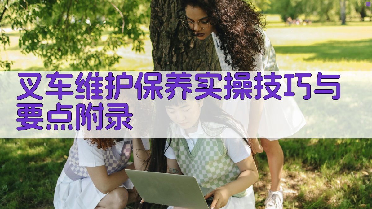 叉车维护保养实操技巧与要点 · 附录 图3