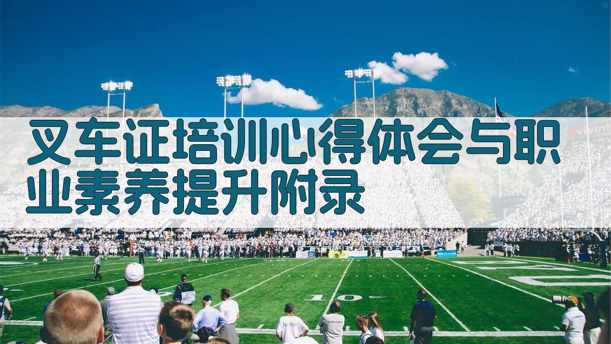 叉车证培训心得体会与职业素养提升 · 附录 图5