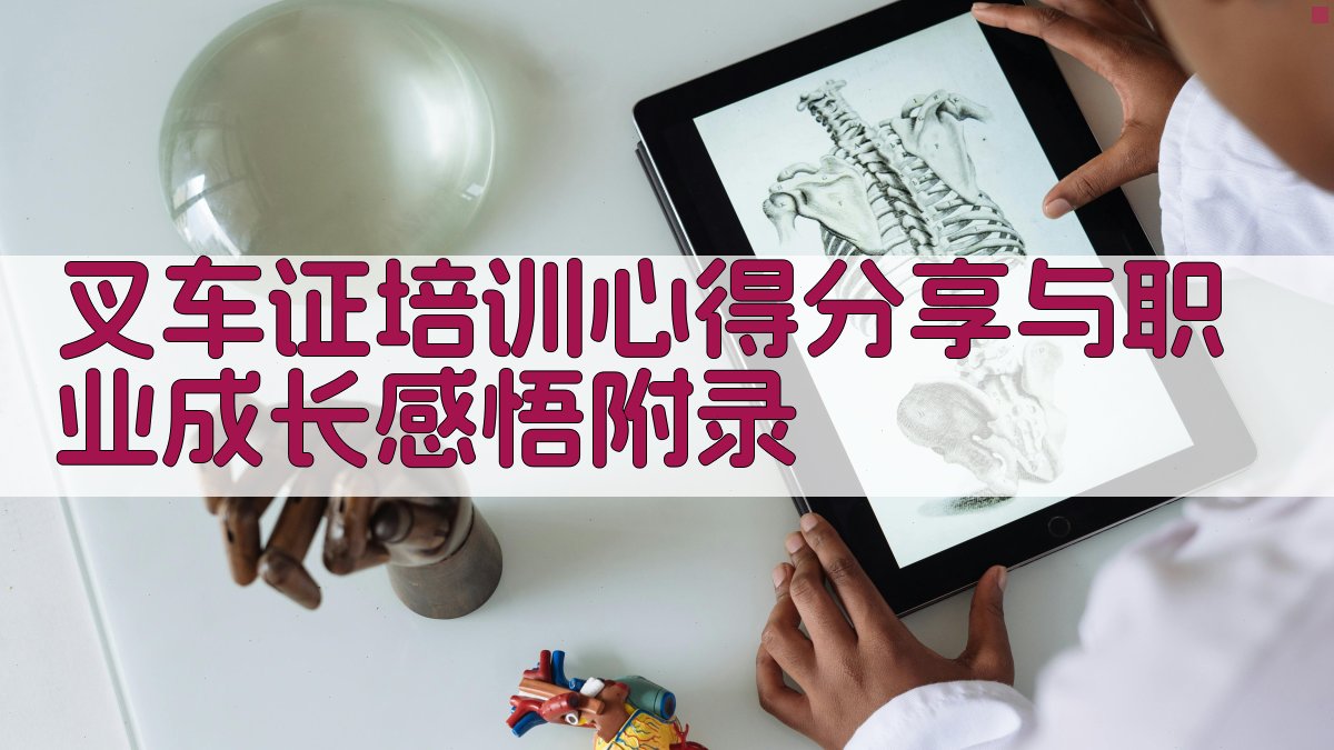 叉车证培训心得分享与职业成长感悟 · 附录 图3