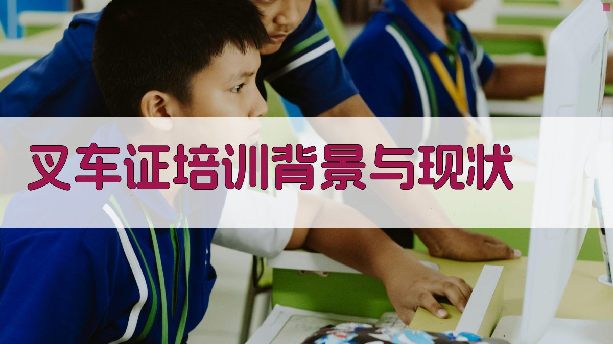 叉车证培训背景与现状 图1