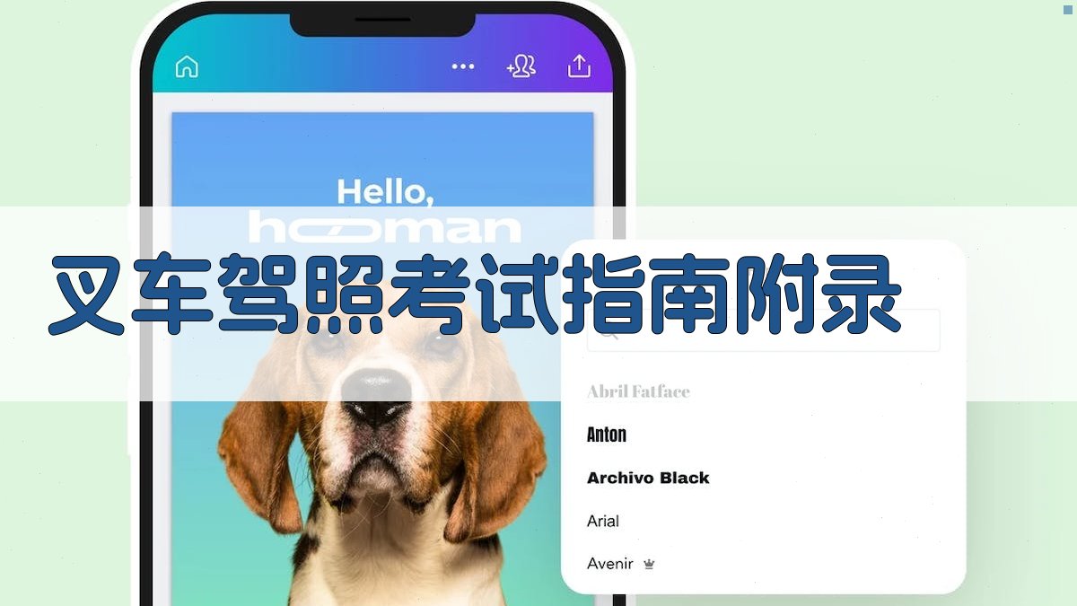 叉车驾照考试指南 · 附录 图4