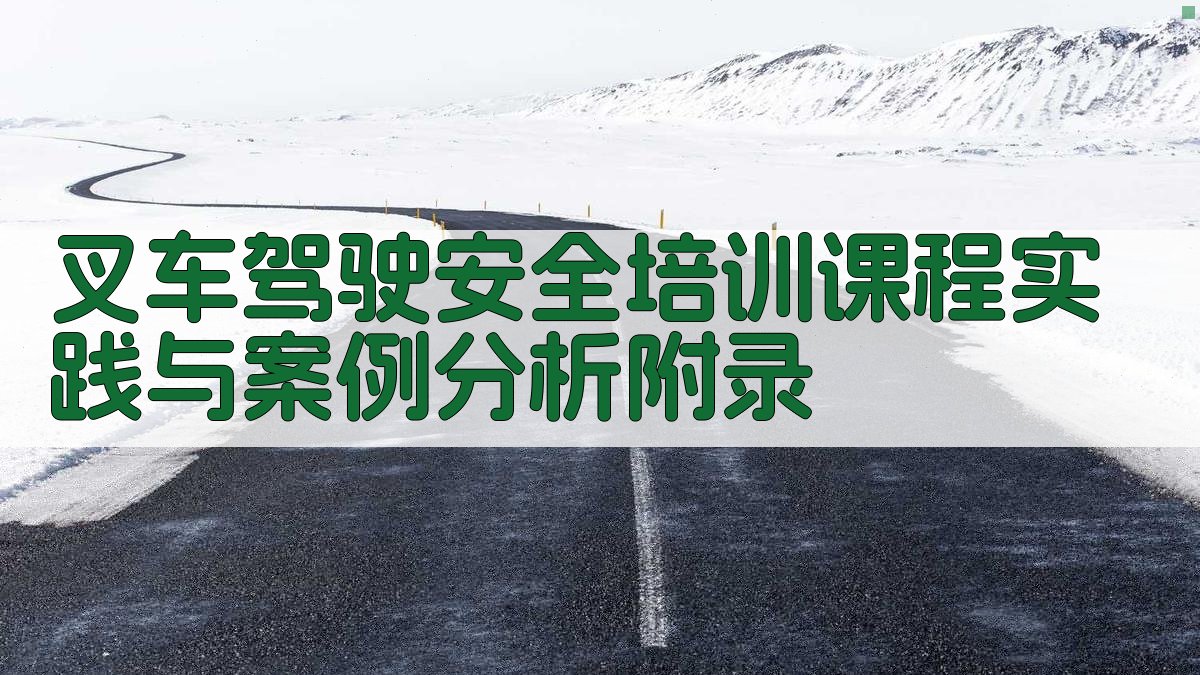 叉车驾驶安全培训课程实践与案例分析 · 附录 图5