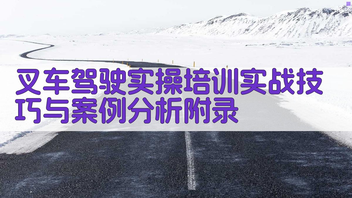 叉车驾驶实操培训实战技巧与案例分析 · 附录 图3