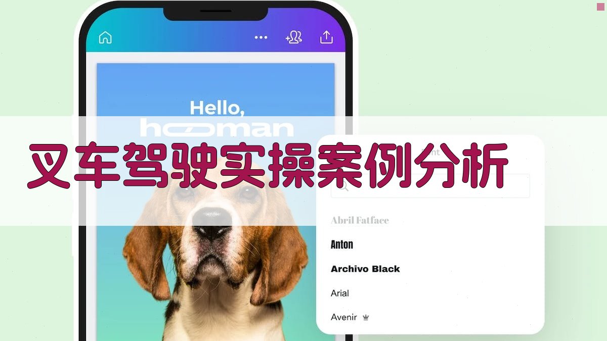 叉车驾驶实操案例分析 图2