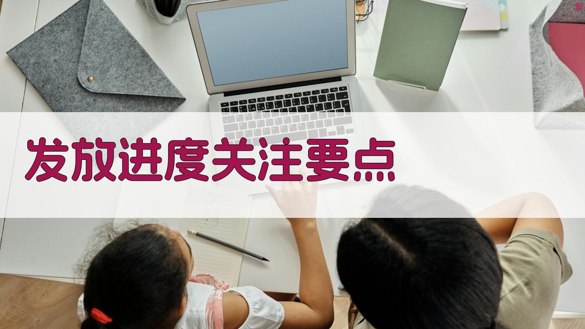 发放进度关注要点 图2