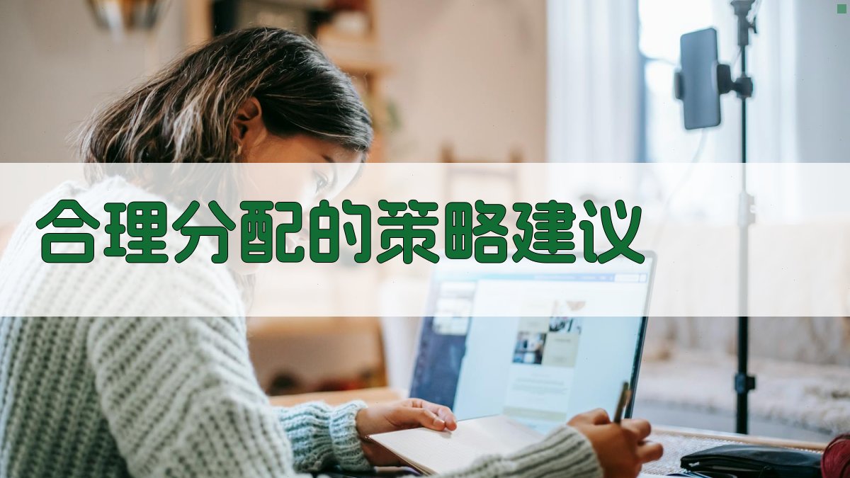 合理分配的策略建议 图3