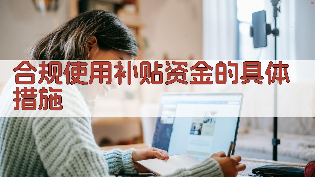合规使用补贴资金的具体措施 图2