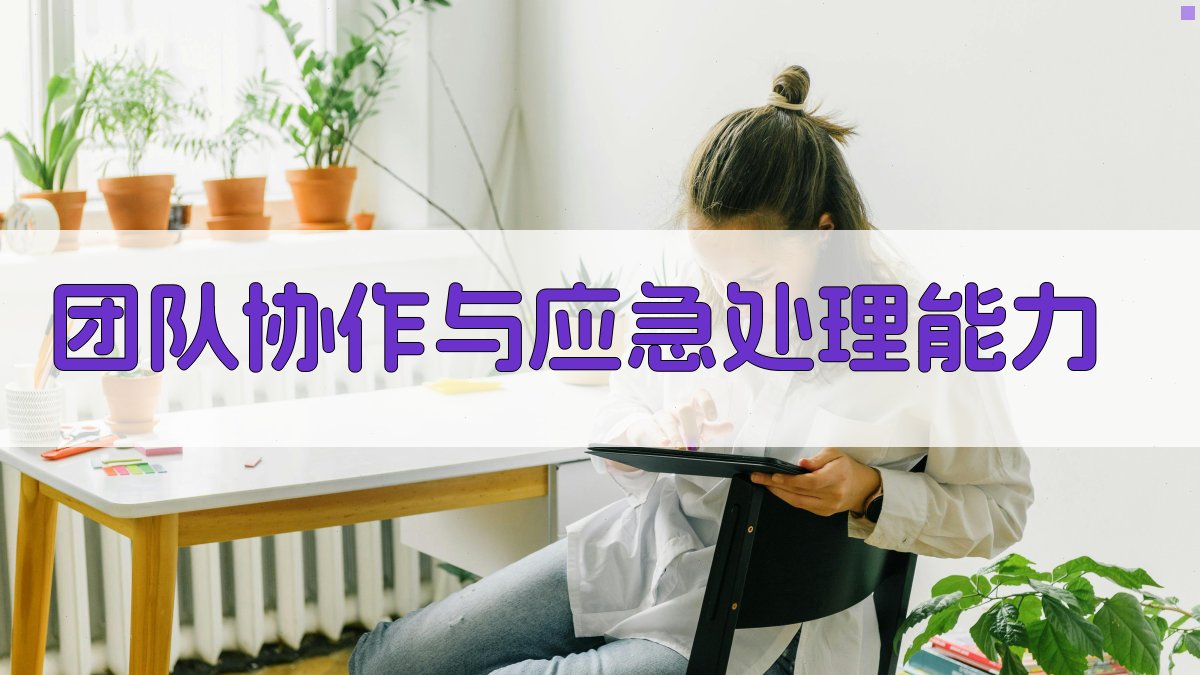 团队协作与应急处理能力 图5