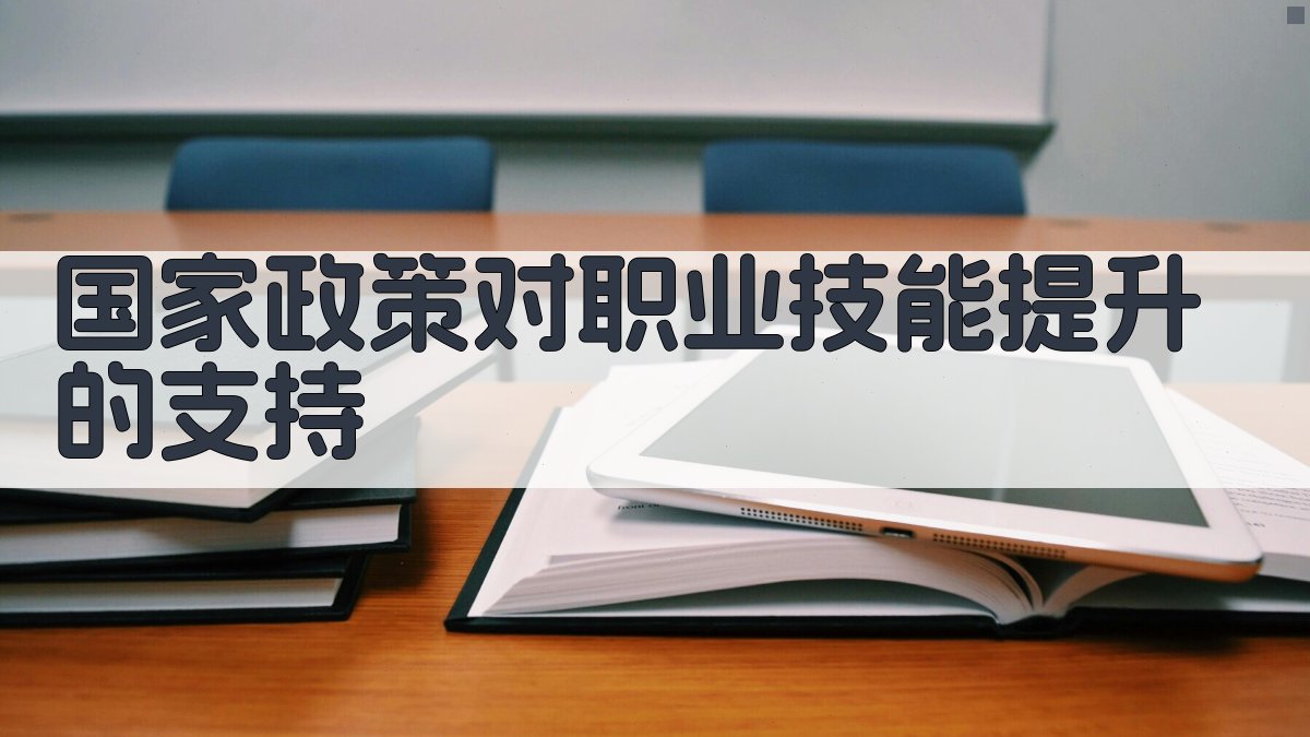 国家政策对职业技能提升的支持 图3