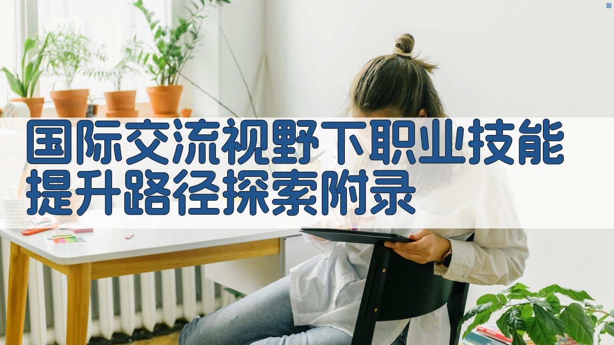 国际交流视野下职业技能提升路径探索 · 附录 图5