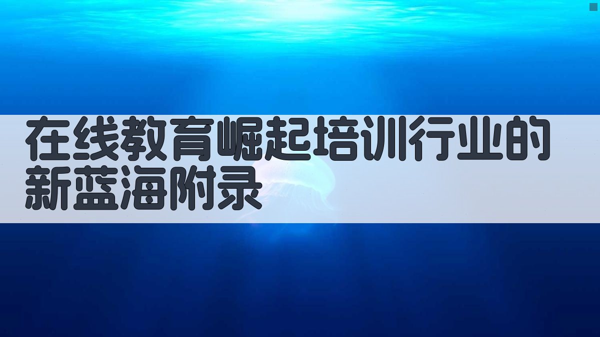 在线教育崛起培训行业的新蓝海 · 附录 图5
