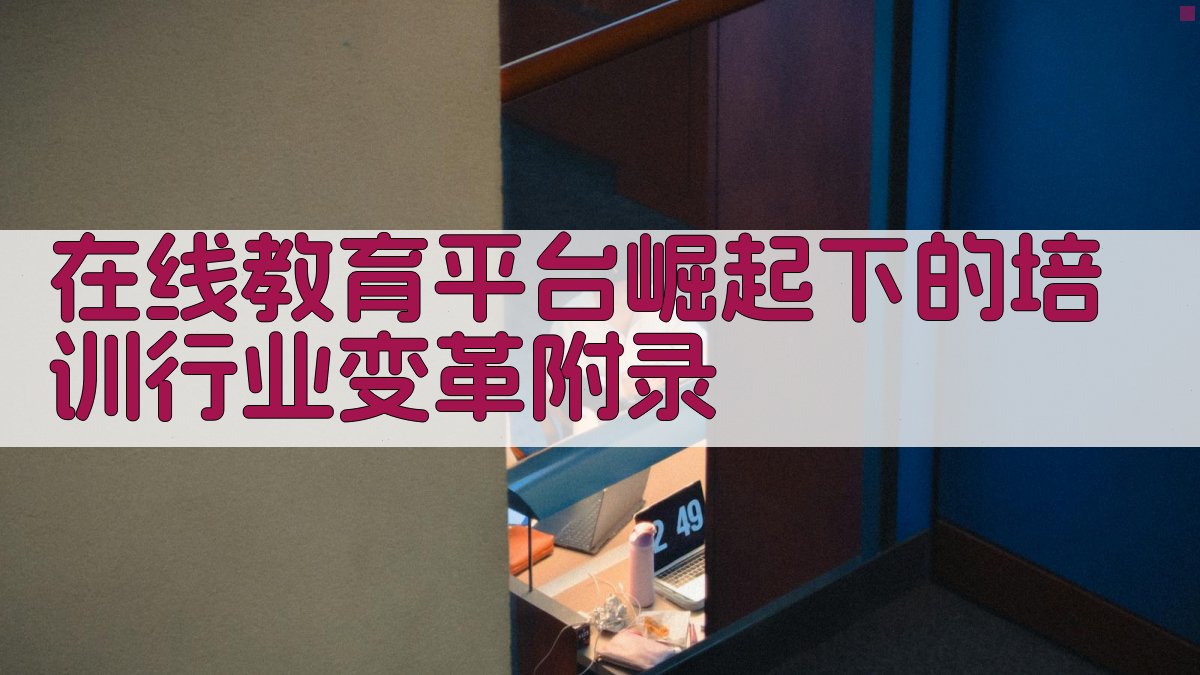 在线教育平台崛起下的培训行业变革 · 附录 图5