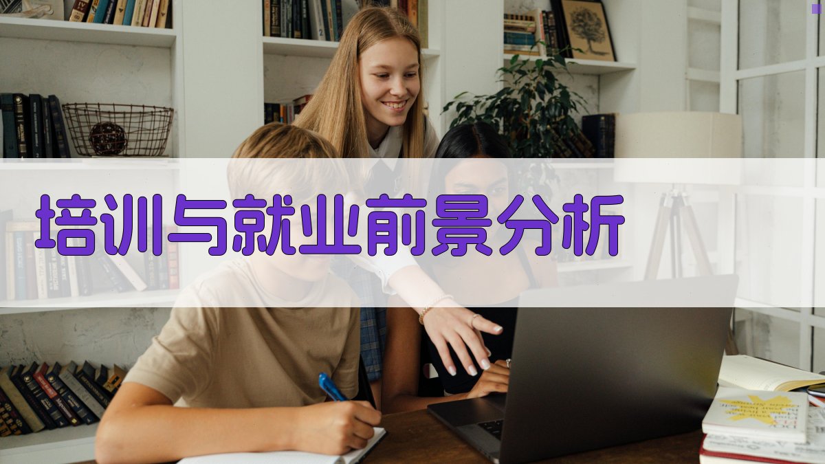 培训与就业前景分析 图3