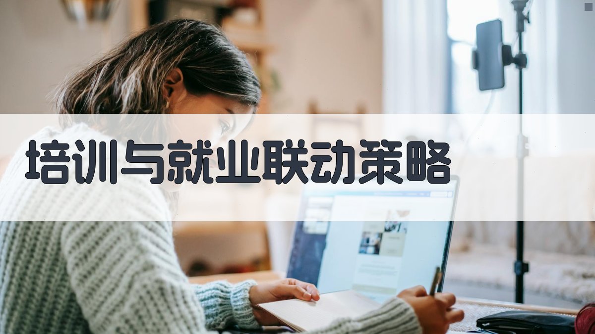培训与就业联动策略 图3