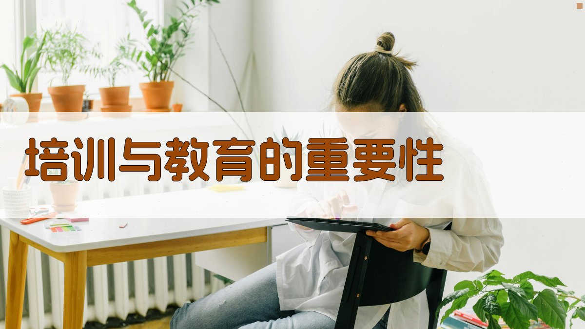 培训与教育的重要性 图3