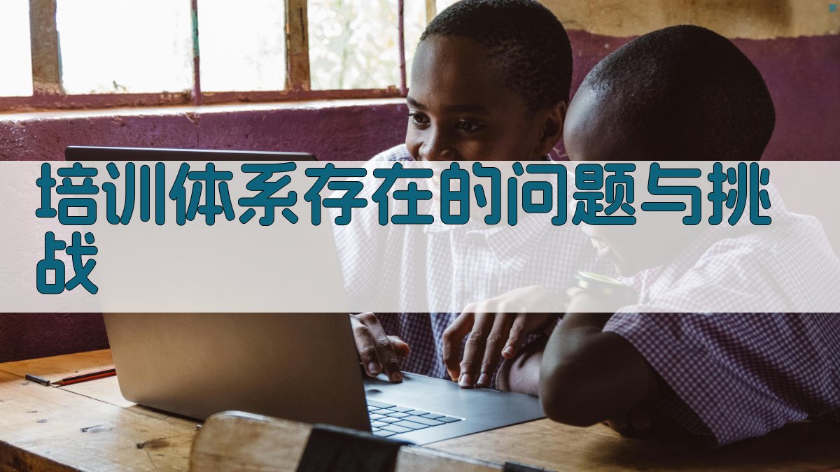 培训体系存在的问题与挑战 图2