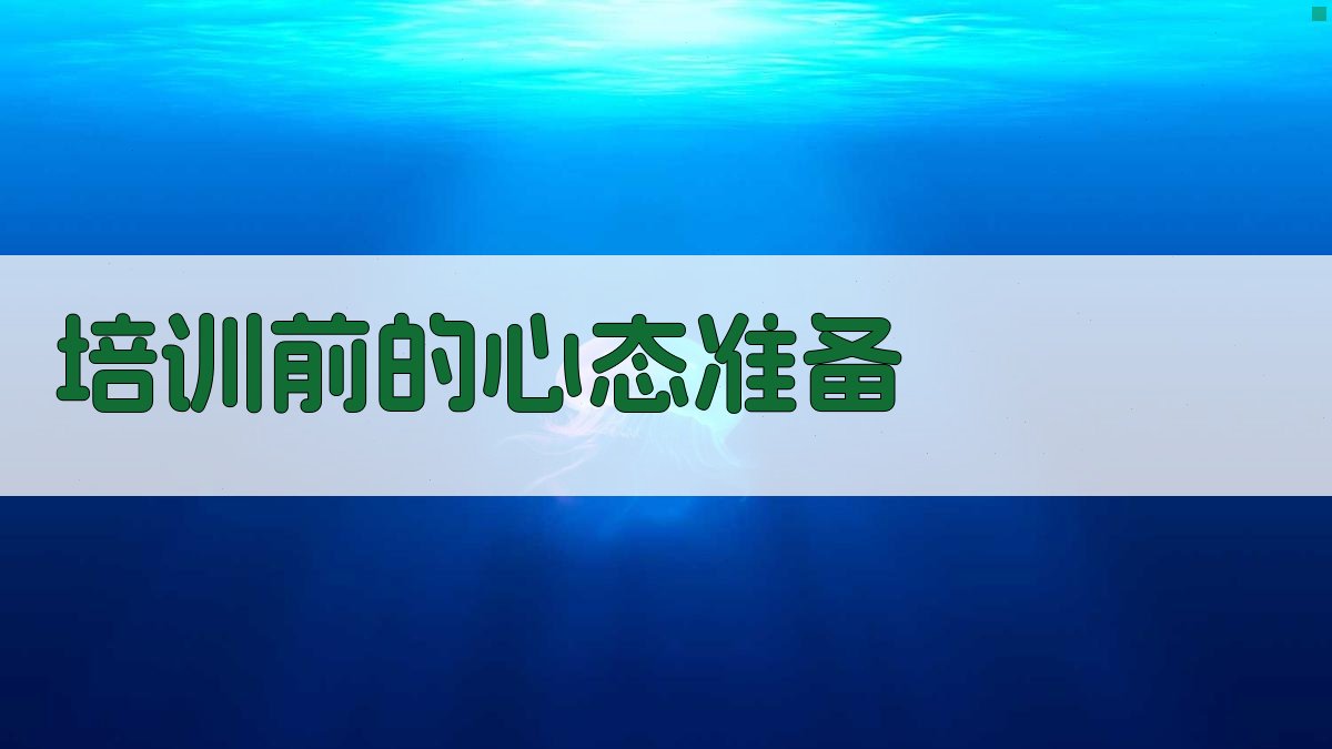 叉车证培训心得体会