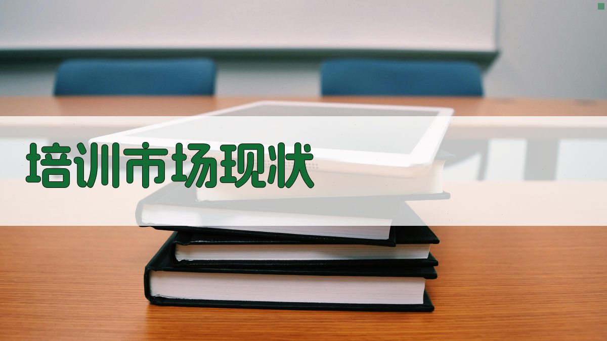 培训市场现状 图3