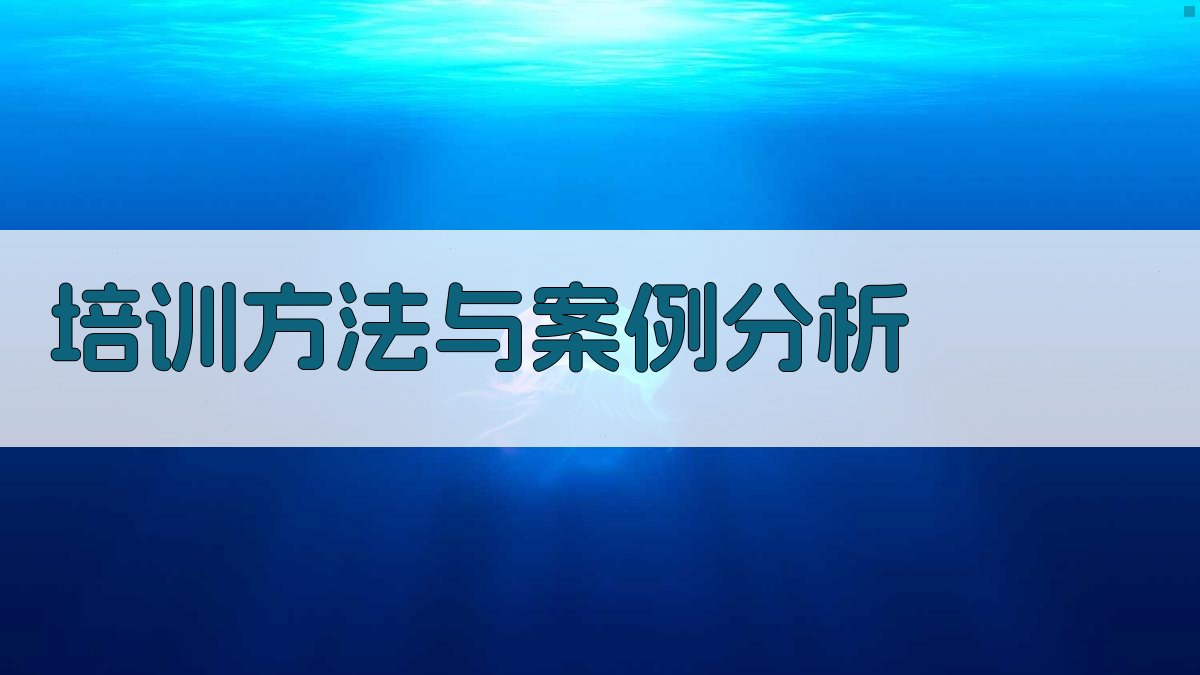 培训方法与案例分析 图2
