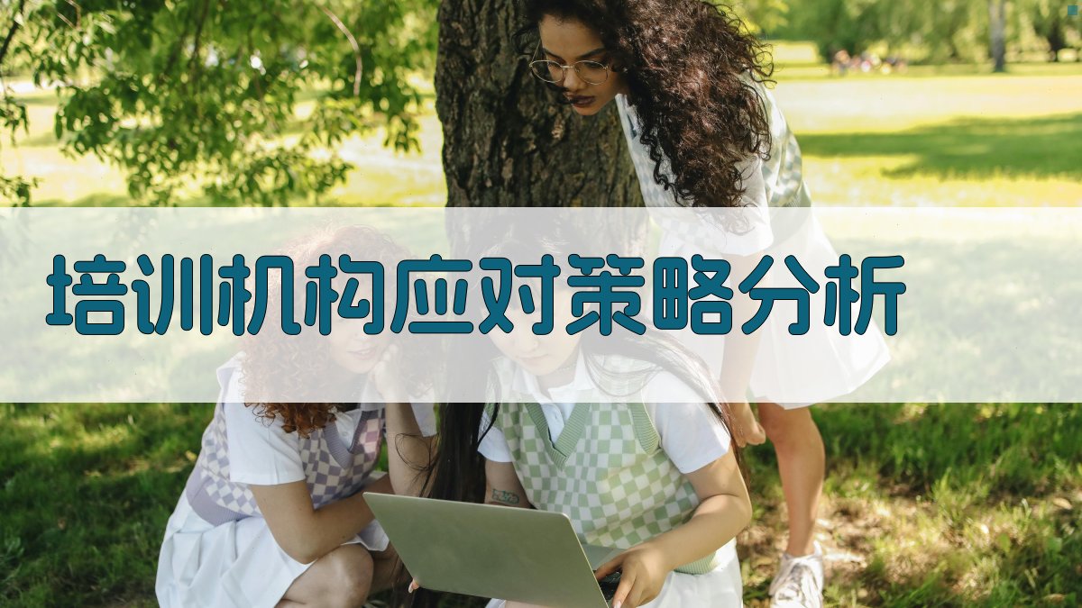 培训机构应对策略分析 图3