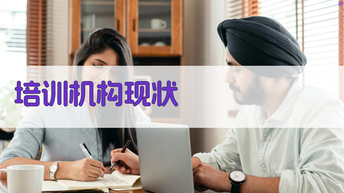 培训机构现状 图3