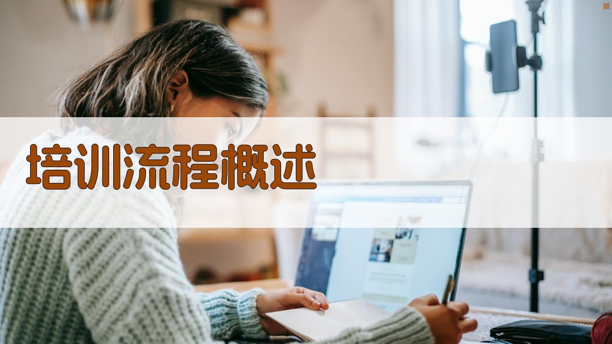 培训流程概述 图3