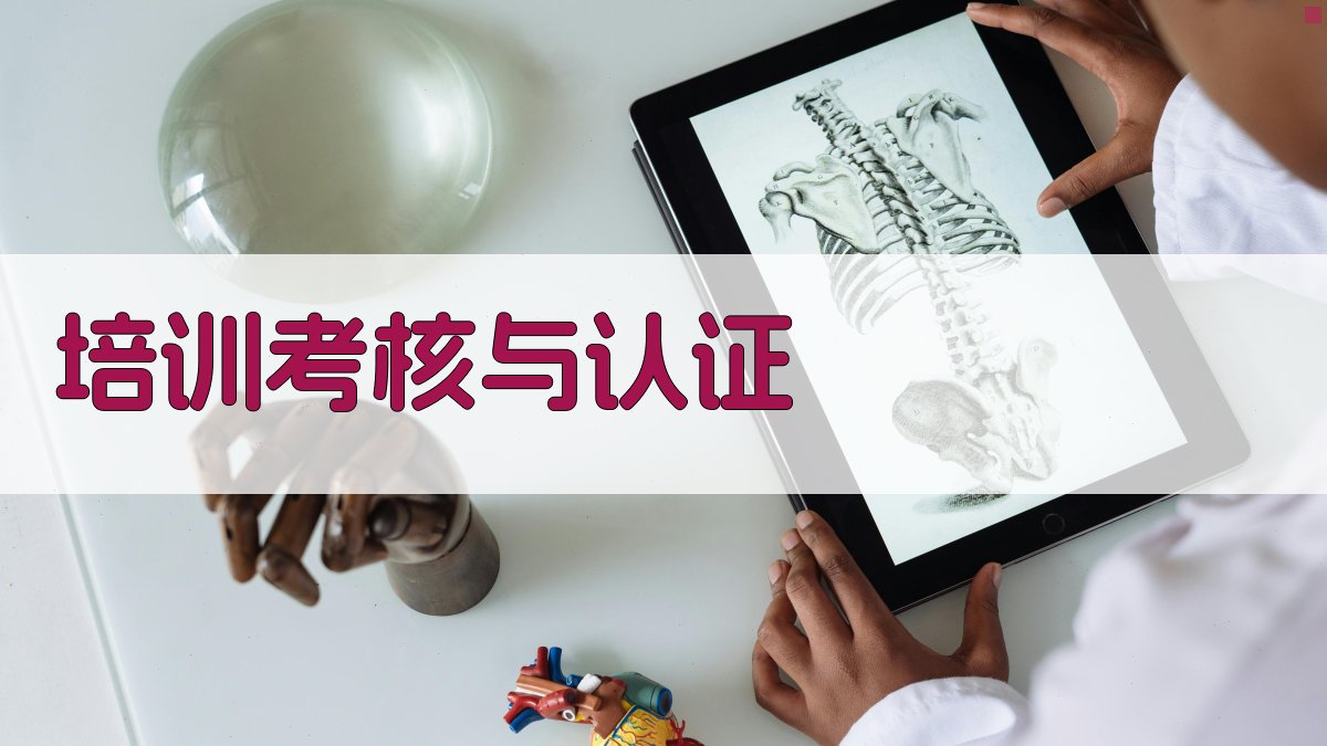 培训考核与认证 图3