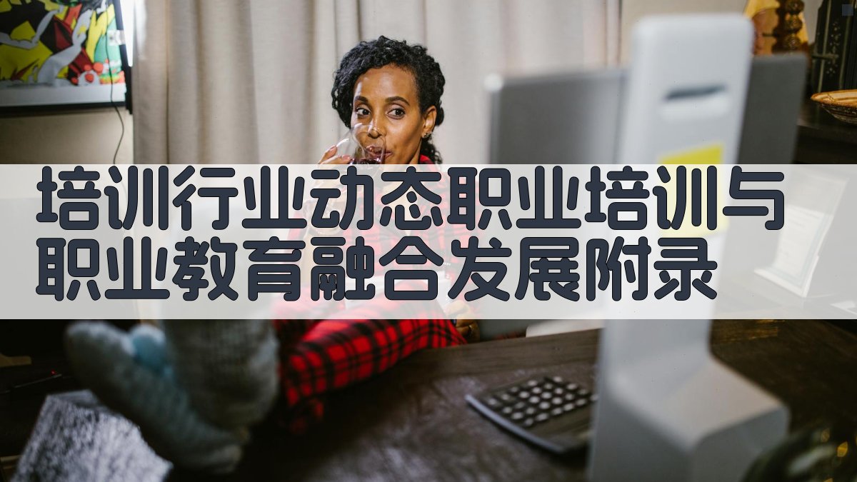 培训行业动态职业培训与职业教育融合发展 · 附录 图3