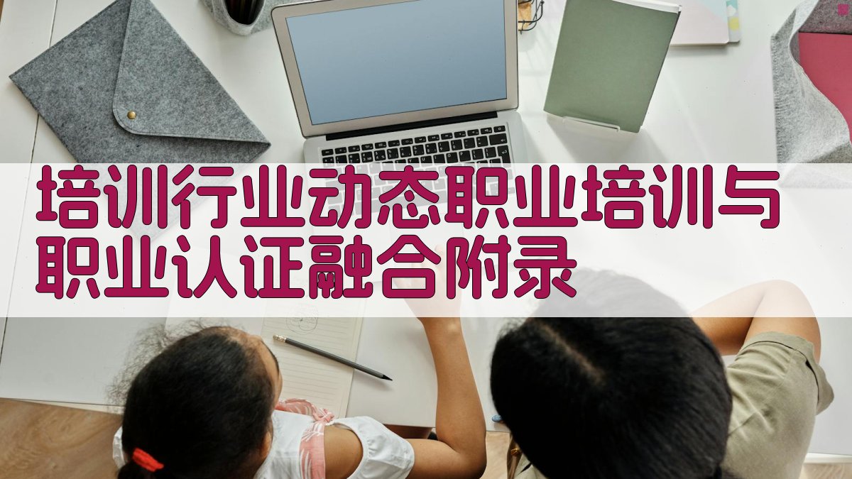 培训行业动态职业培训与职业认证融合 · 附录 图2