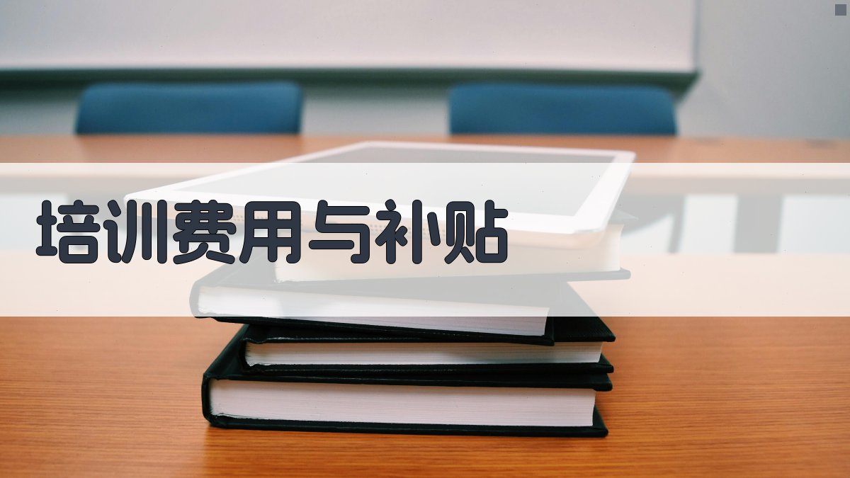 培训费用与补贴 图5
