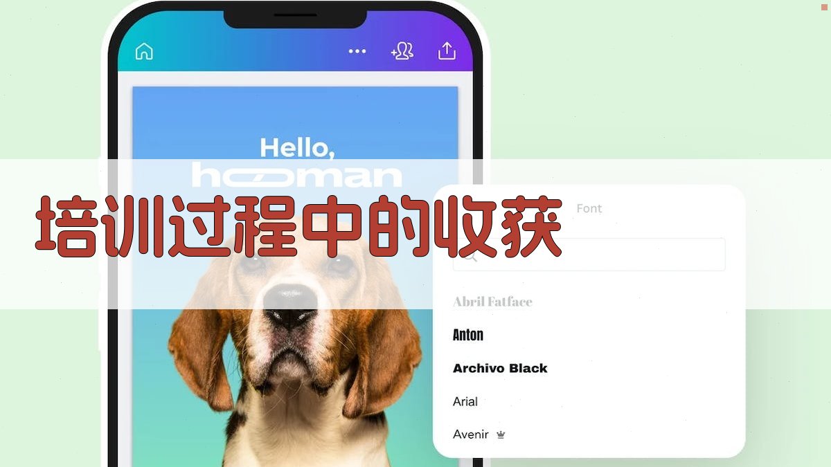 培训过程中的收获 图2