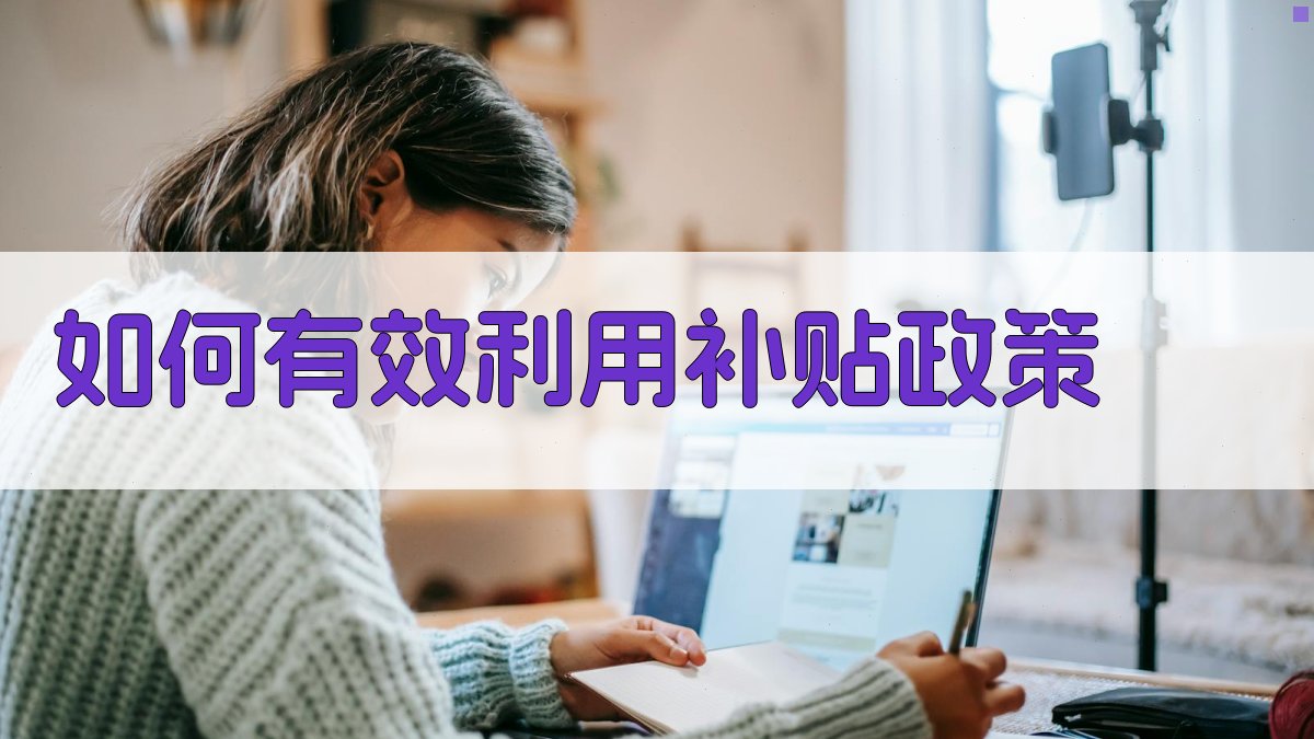 如何有效利用补贴政策 图2