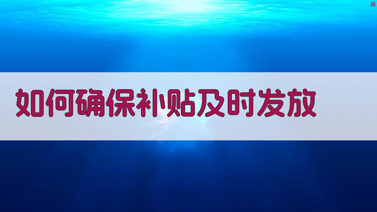 如何确保补贴及时发放 图1