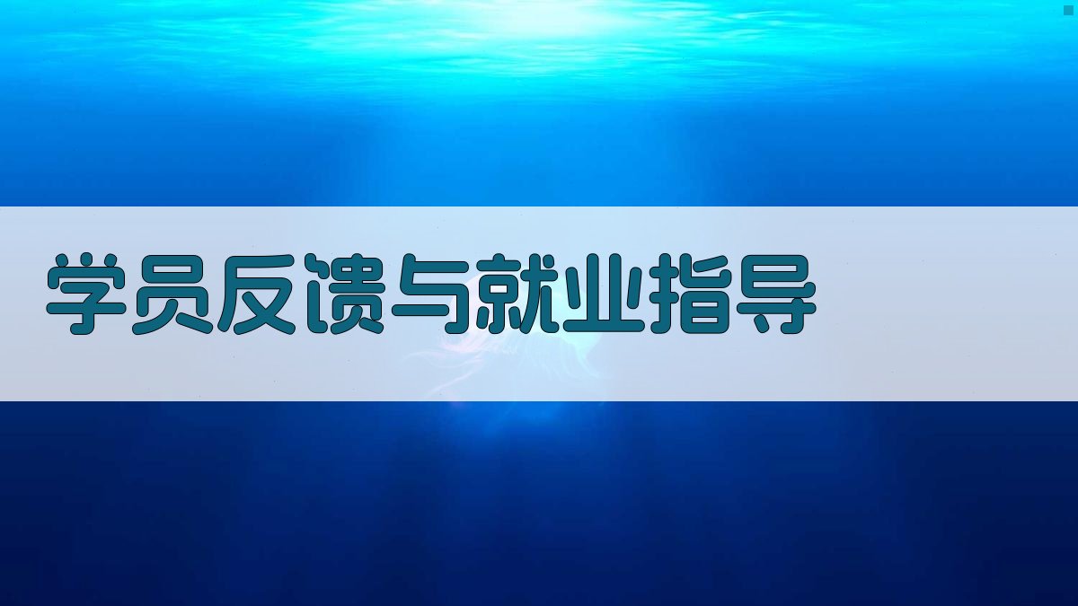 学员反馈与就业指导 图4