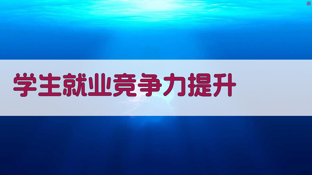 学生就业竞争力提升 图3