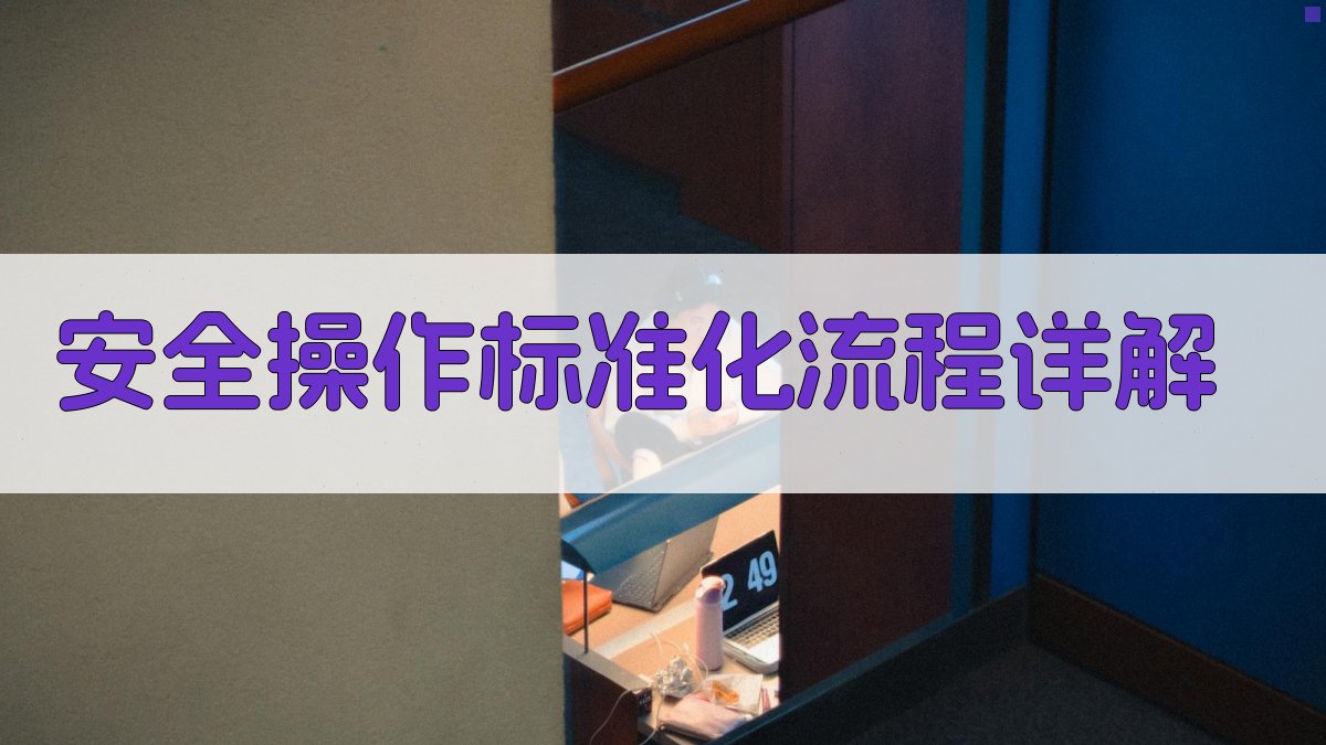 安全操作标准化流程详解 图3