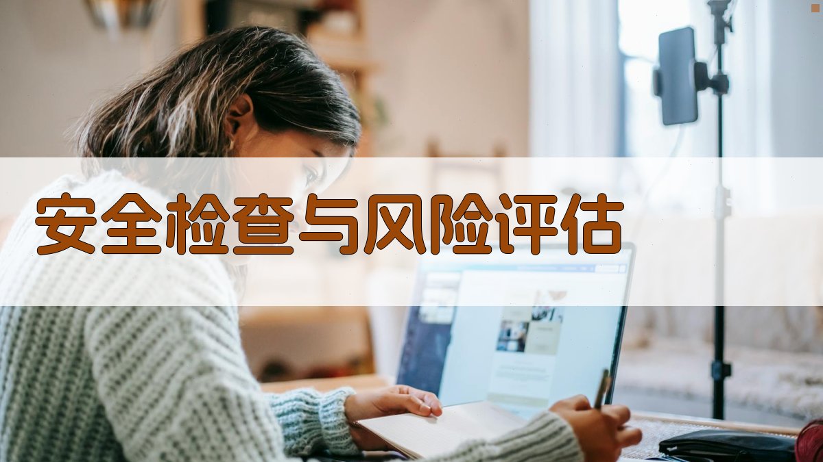 安全检查与风险评估 图2