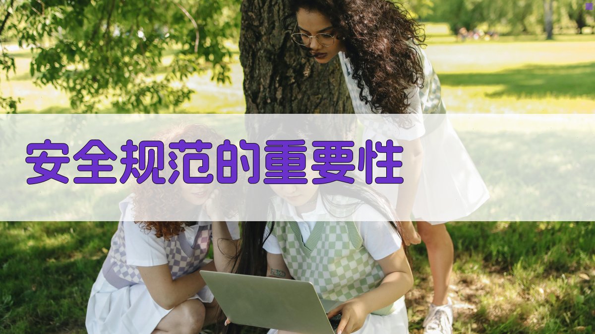 安全规范的重要性 图3