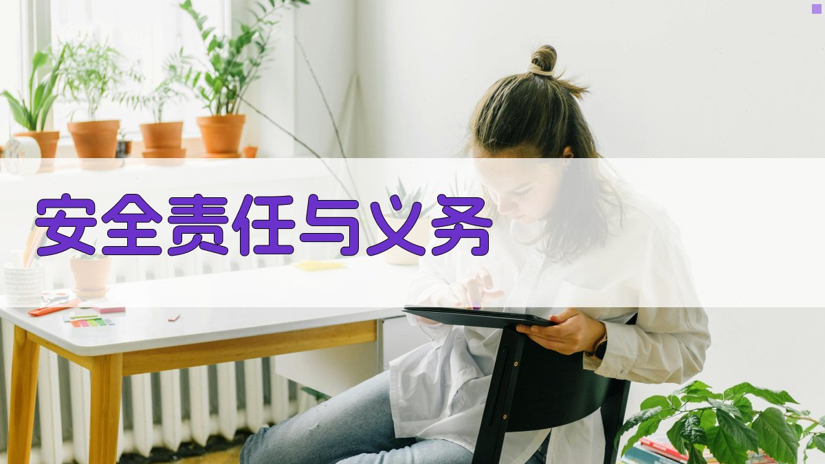 安全责任与义务 图2